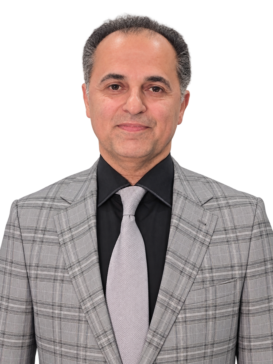 Ramin Homayounfar | Home Renovation
